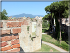 foto Camminamento delle mura di Pisa